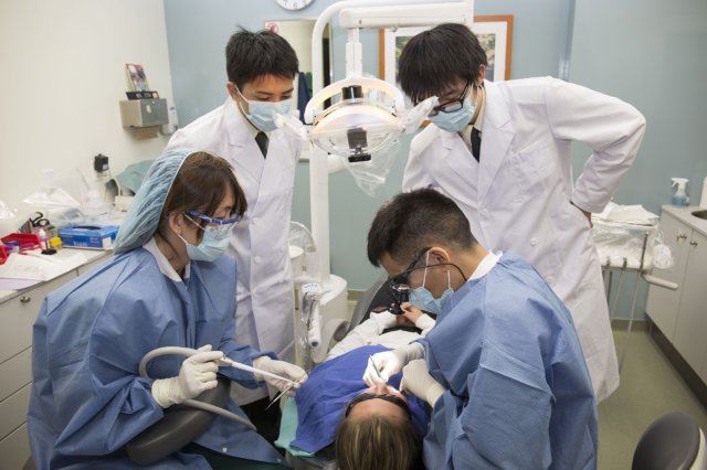 Xholi Dental – dentist abroad in Albania